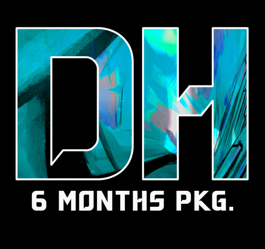 On Line Coaching 6 months